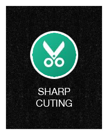 wire stripper and cutter