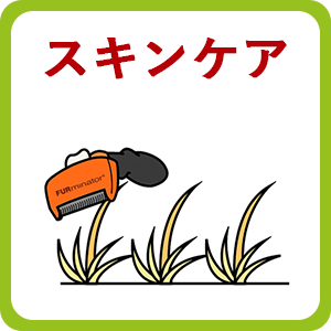 ヘアボール