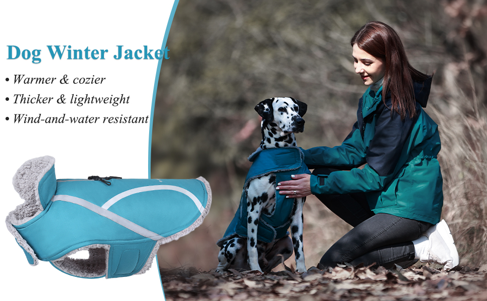 VIVAGLORY Warm Winter Dog Coat, Reflective Safety Cozy