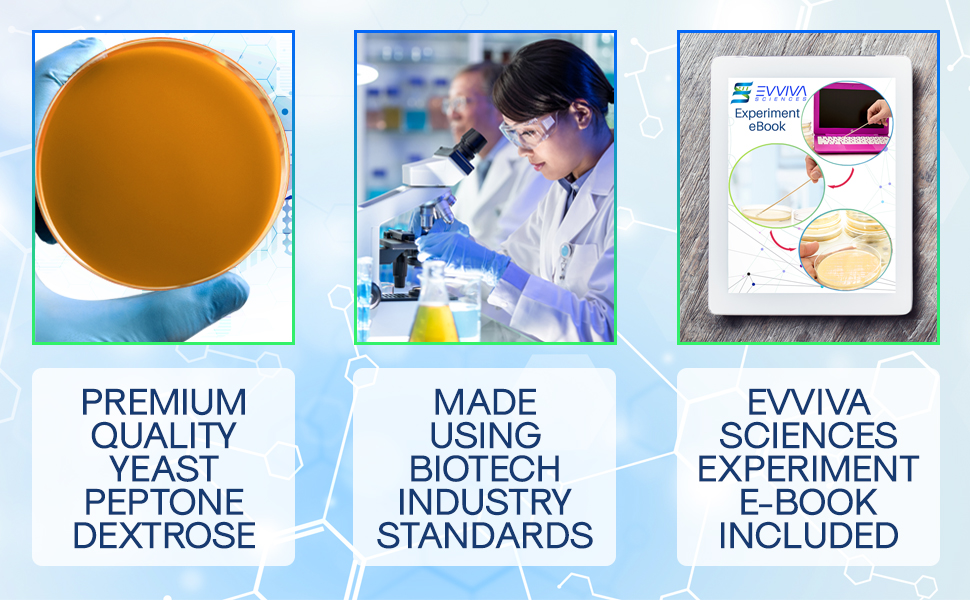 Yeast Peptone Dextrose (YPD) Agar Plates Evviva Sciences Great for