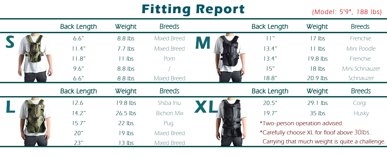 dog carrying backpack