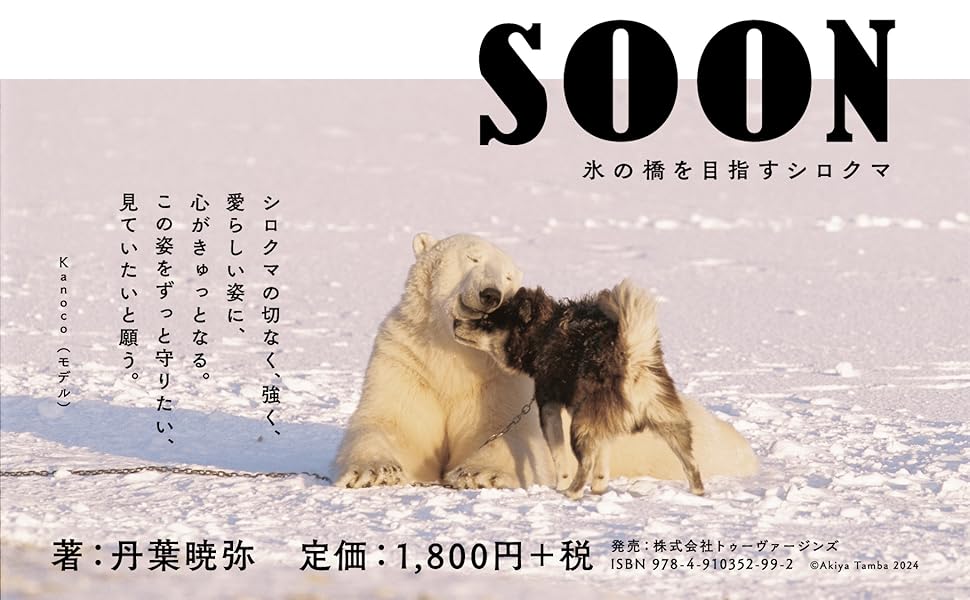 e♡♡♡ カモ トラ シロクマ シロノクマ@中の人契約作家 on X: 