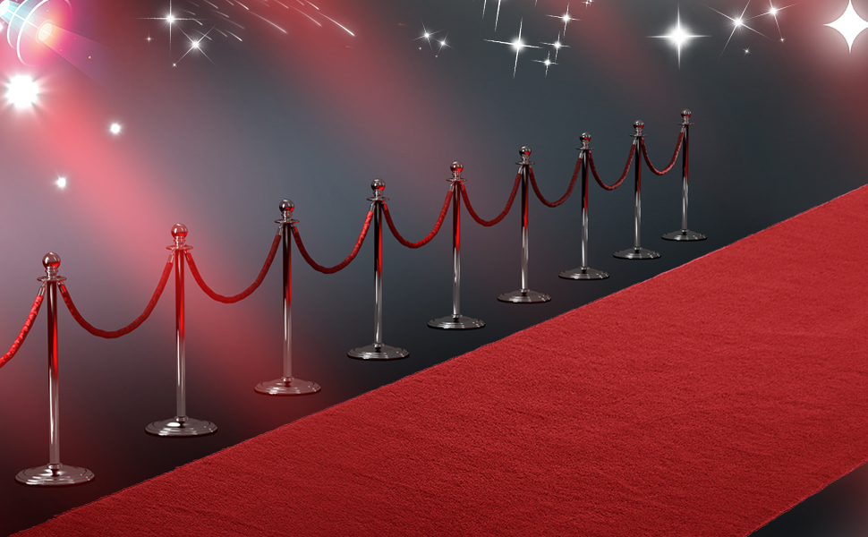BWKJMY 1.2x10m Red Carpet Runner for party,220GSM Red Carpet Roll Out