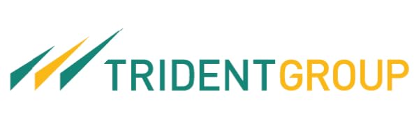 Trident bed sheets for king size cotton elastic