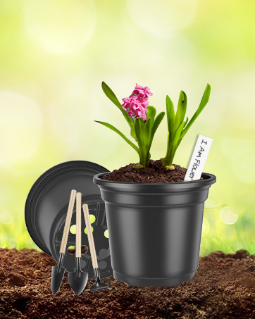 seed pots