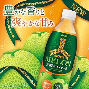 Amazon.co.jp: アサヒ飲料 三ツ矢 芳醇メロンソーダ 500ml×24本