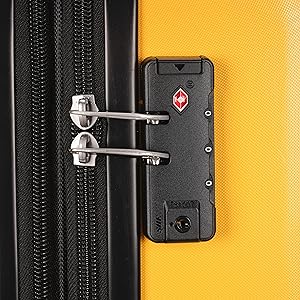 TSA customs lock