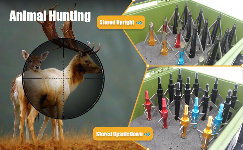 Wamlet Archery Broadhead Box Hunting Accessory Case Holds