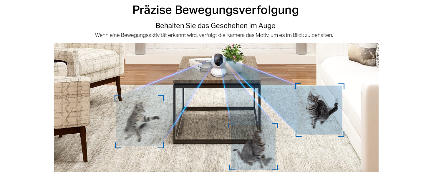 Überwachungskamera für Haustiere im Innenbereich TP-Link Tapo C200