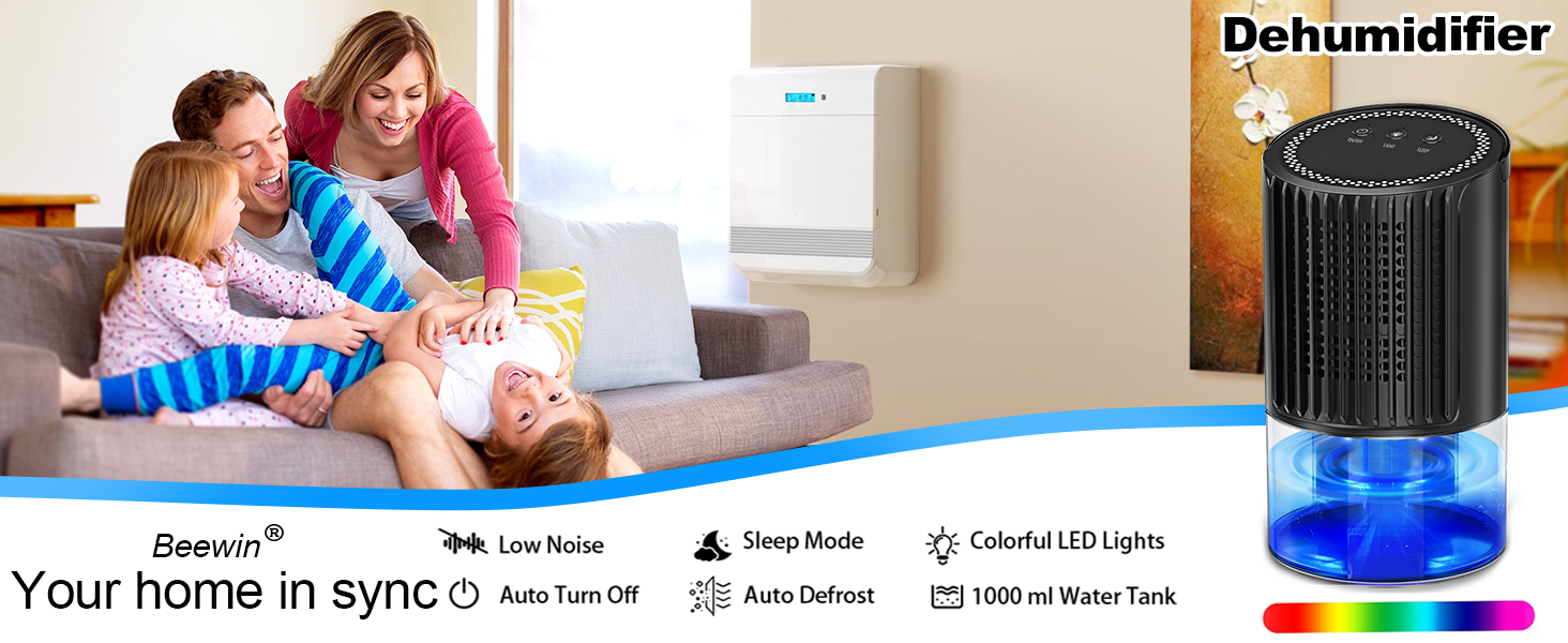 Dehumidifiers for home