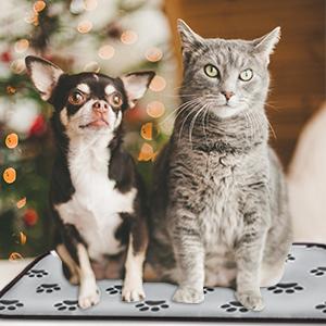 pet heating pad