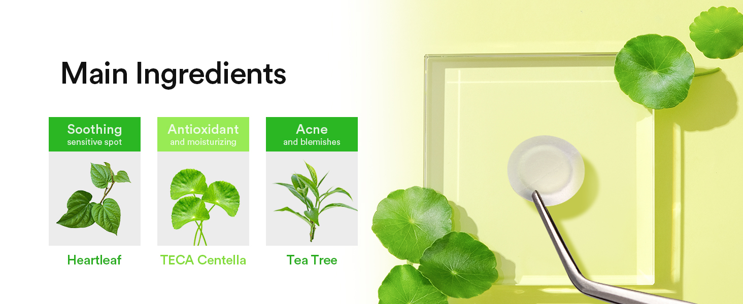 Abib Heartleaf Calming Spot Patch
