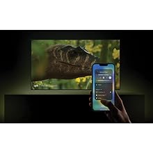 Compatible with Apple AirPlay 2