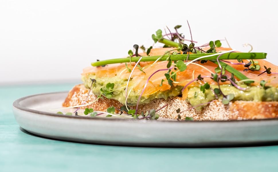 Microgreens Salmon 2