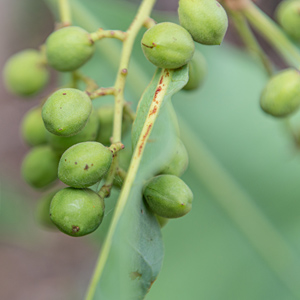 Small manufacture image 3