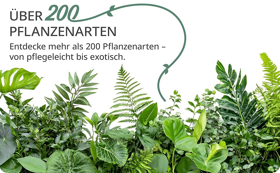 Aplus-Inhaltsbild