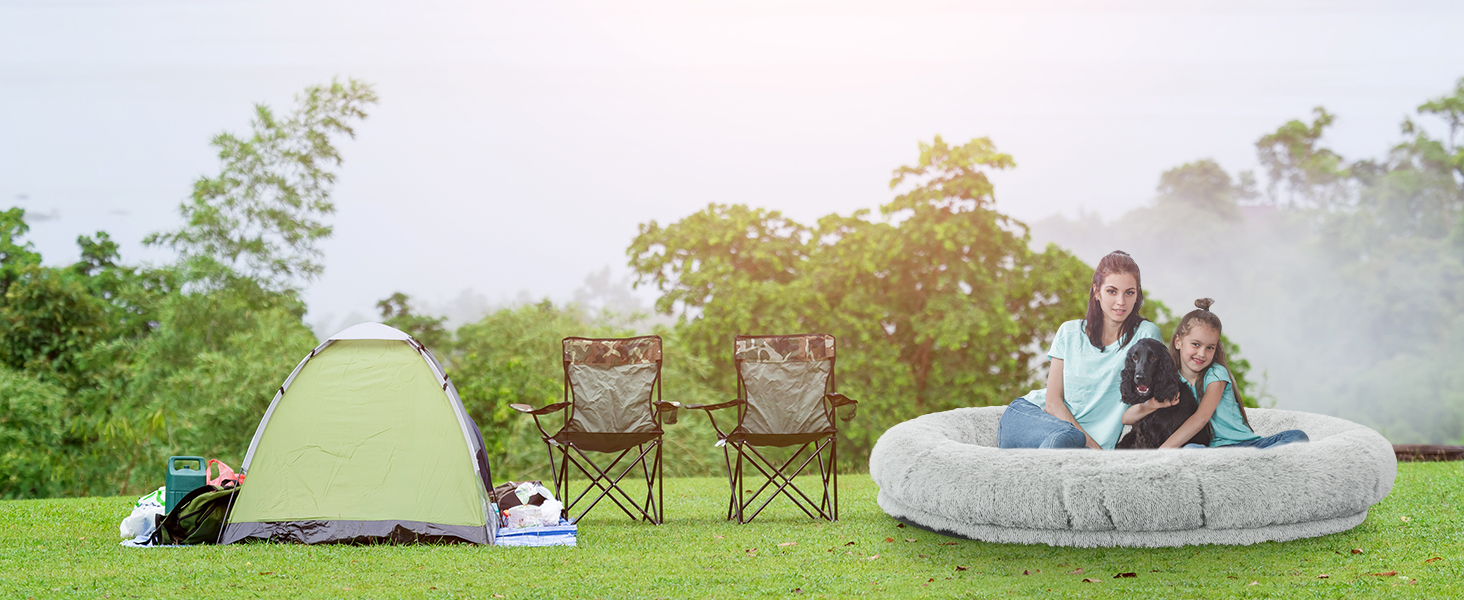 dog bed