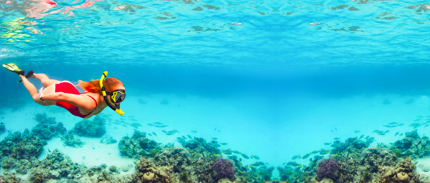 Snorkeling Gear for Adults, DryTop Snorkel Set Scuba