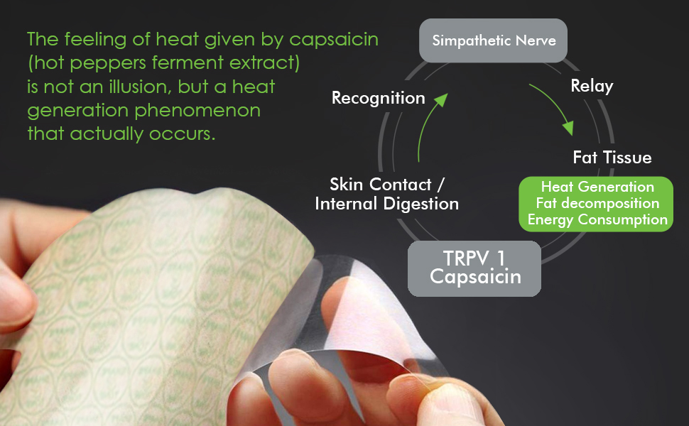 Body Wrap by Shape and Tone Firming and Shaping Contouring Patch