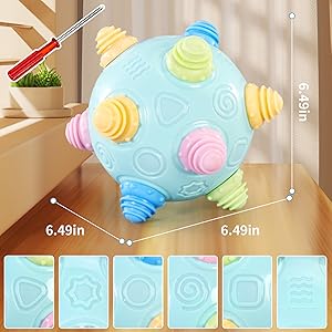Bouncing Sensory Learning Gift for 3+ 4 5 Year Old Boys Girls, Interactive Toy for Pets.