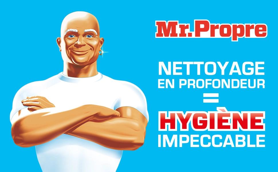 Lingette Nettoyantes Eucalyptus MR PROPRE : le paquet de 36 lingettes à  Prix Carrefour