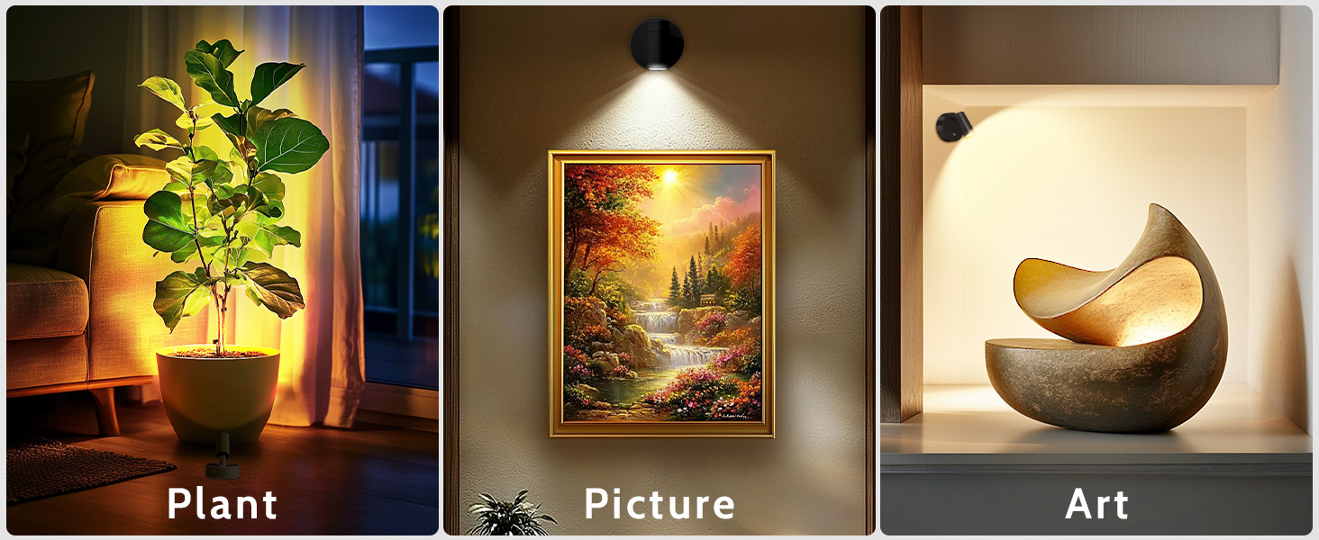 display light