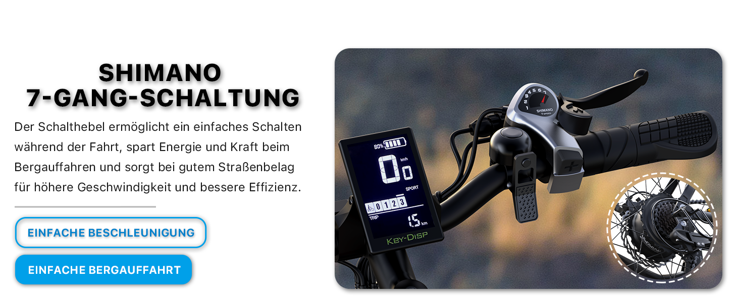 ebike