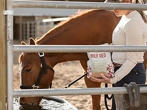 hydration supplement for horses, horse salt lick, horse block, horse minerals, salt rock for horses