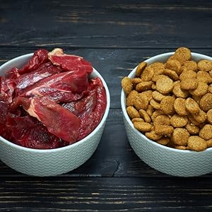 Dog cookbook 