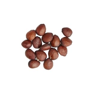 Carob fruit Inositol tanning
