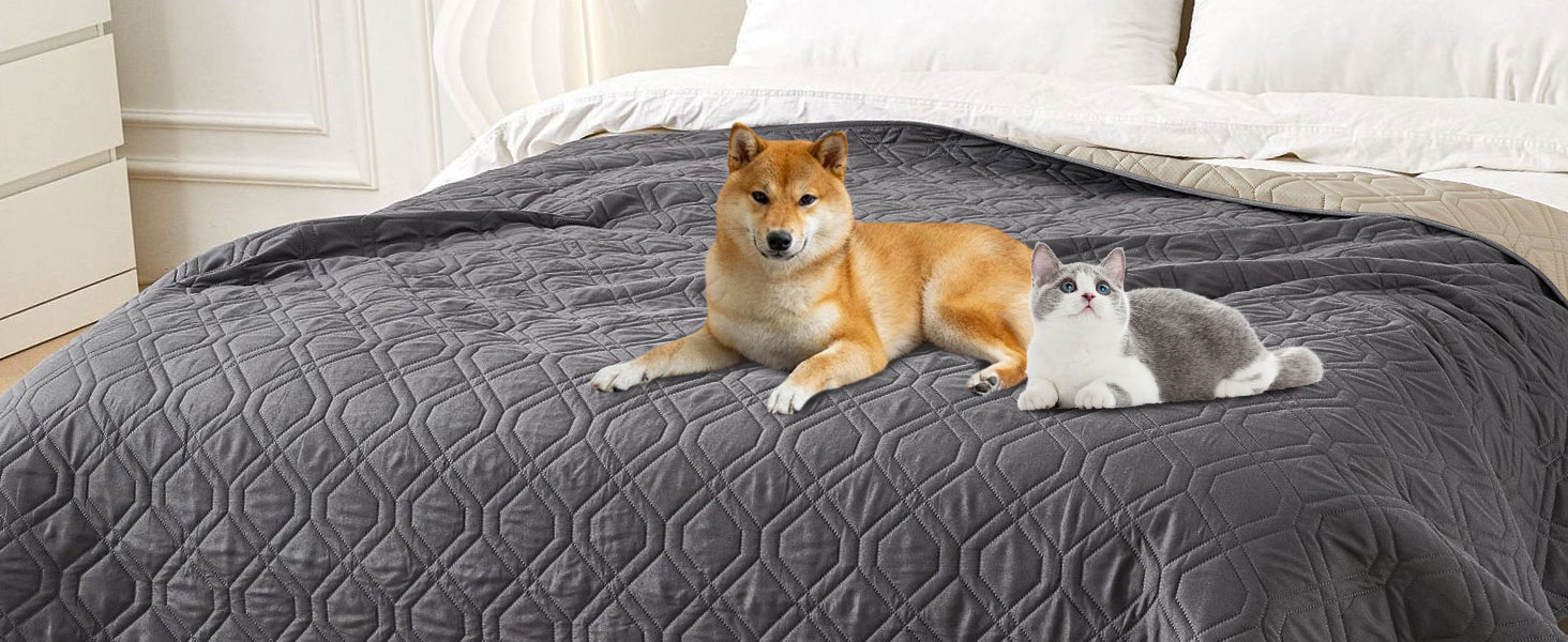 waterproof blanket