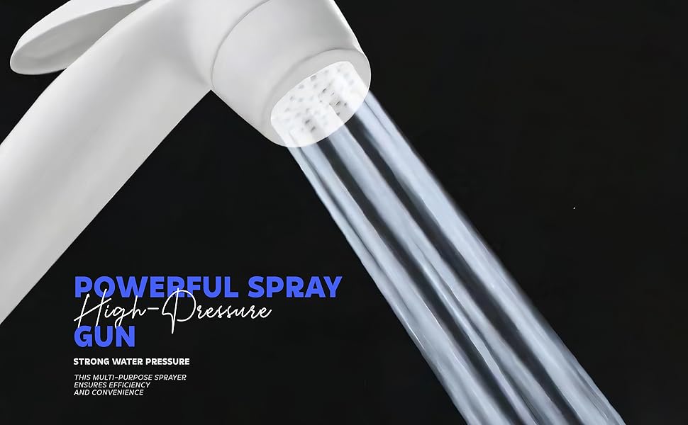 toilet faucet hand spray