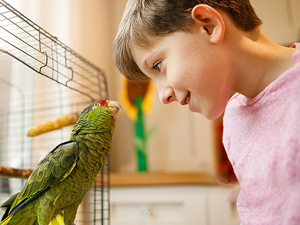 Great for bonding, playing, and training. Keeps your feathered friend close by