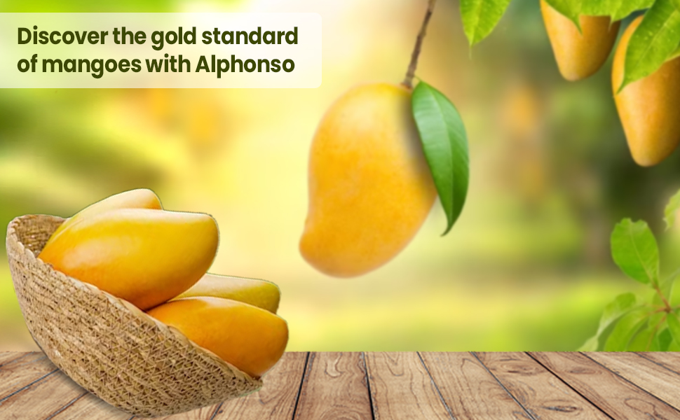 Fresh Mango, Alphonso Ratnagiri, 6 Pieces Premium (approx. 225gm/pc