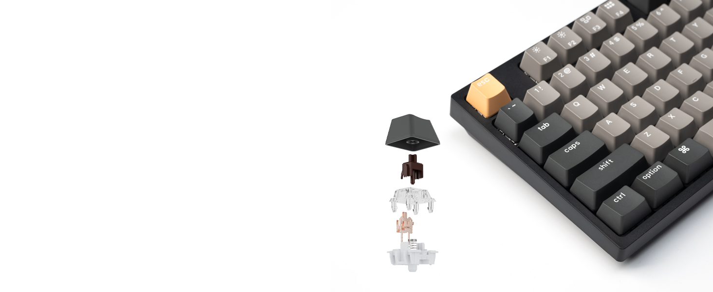 Keychron C2 Pro QMK/VIA Wired Mechanical Keyboard