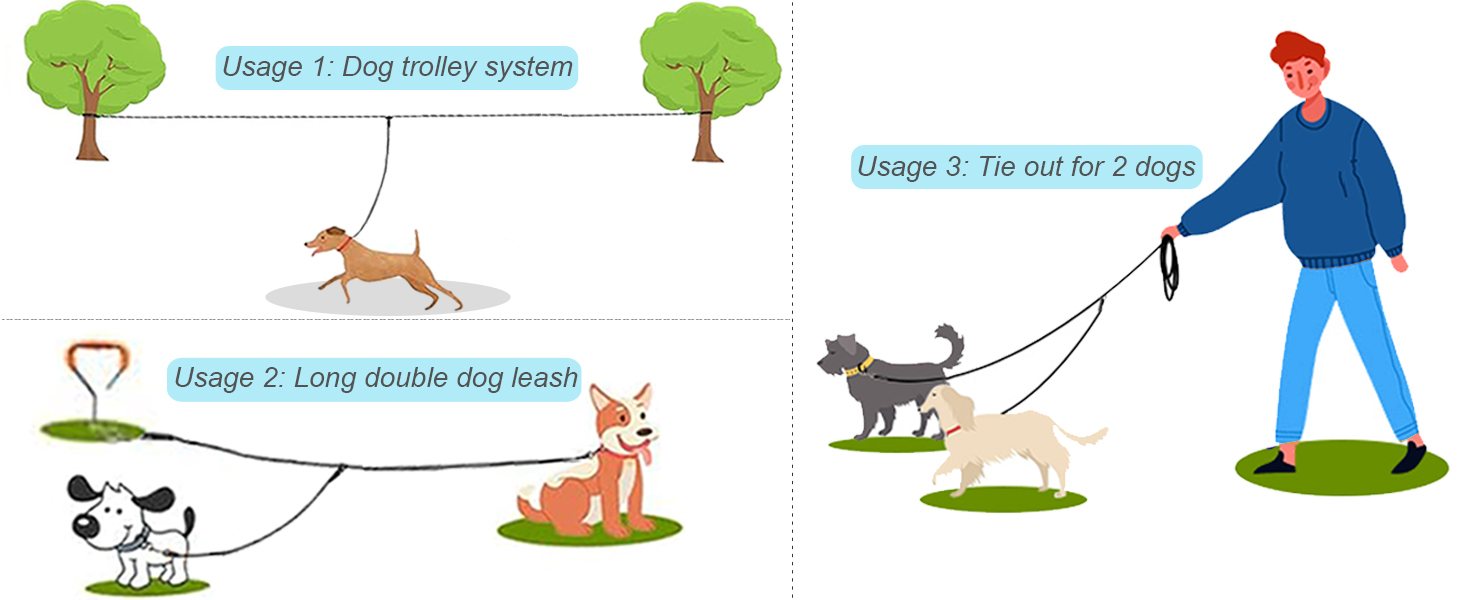 dog leash tieout