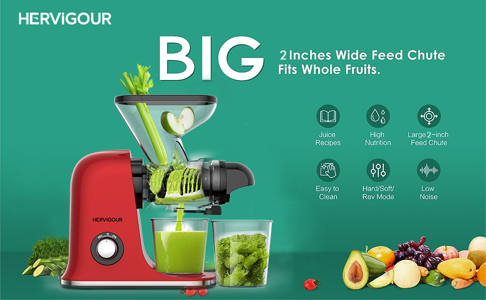 Hervigour Cold Press Juicer Machine, Dual Mouth Slow Masticating Juicer