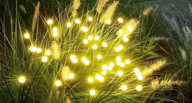 solar garden lights outdoor