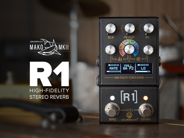 Amazon.com: Walrus Audio Mako Series MKII: R1 High-Fidelity