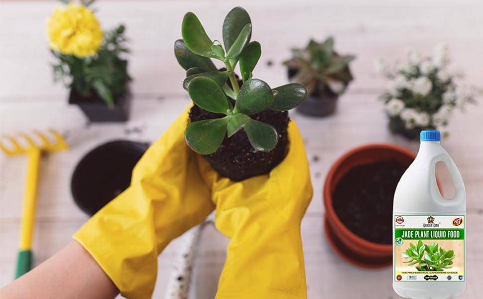 Large manufacture image 5