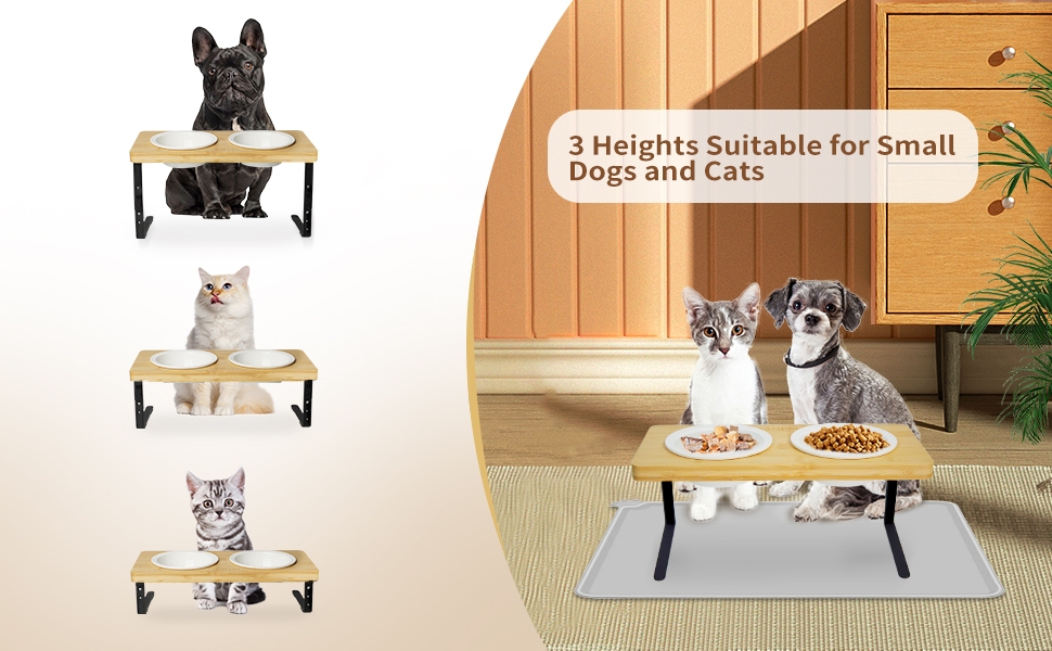 15° Tilted Raised Food Feeding Dishes