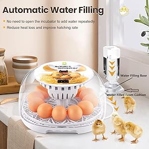 大容量全自動孵化機12個用 自動転卵機能付け Amazon | インキュベーター 自動孵卵器 孵化器 自動転卵 大容量