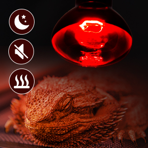 reptile heat lamp