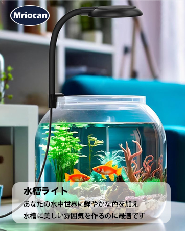 専用です♡新作 タンザナイトカラー フローライト ふんわりグリーンアクアマリン アクアマリン マルチカラーストーン リング[] Aquamarine Multi