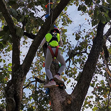 Corde d’Escalade en Rappel Auxiliaire en Polyester/NylonCharge 800kg pour Alpinisme Sauvetage 8mm