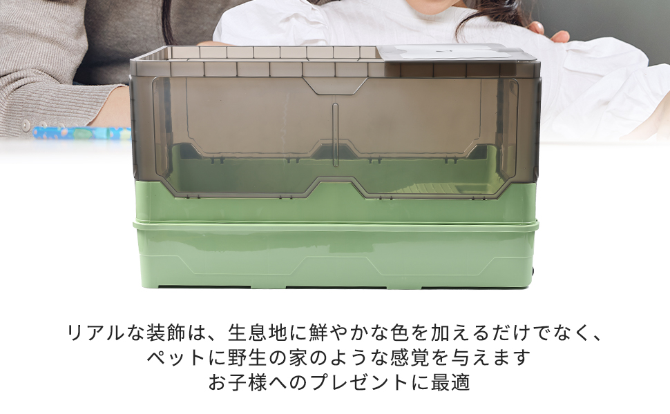 青磁水注 雨龍型 亀形　木箱（共箱） Amazon | 亀の水槽、無音滝流水 両生ペット飼育箱。 (Large
