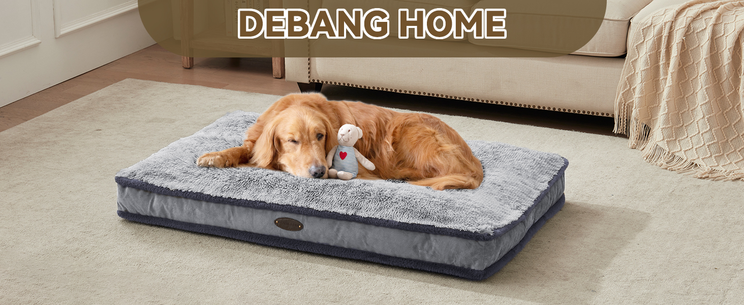 dog bed