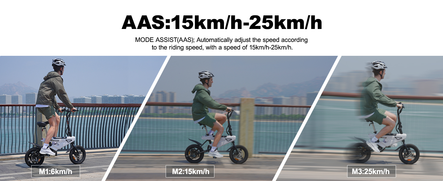 ebike