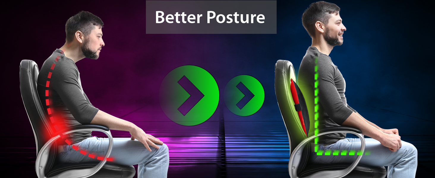 AJUVIA Back Vitalizer Car Lumbar Support for Driving Seat Lumbar