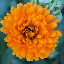 Small manufacture image 17